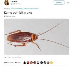 Lihat gambar lainnya di image.kaskus.co.id. 11 Plesetan Tebak Gambar Yang Lagi Viral Receh Tapi Bikin Ngakak