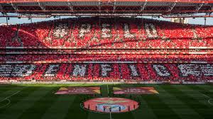 После двух подряд осечек спортинга. Jogo Em Direto Benfica Gil Vicente Liga Nos Futebol Sl Benfica