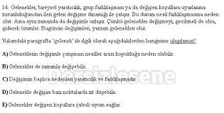 Ygs Lys Ygs Turkce Paragraf Testleri Coz Ygs Lys Ygs Turkce Paragraf Testi Coz Kitap Okuma Kitap Okuma