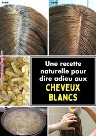 Avec son pouvoir colorant très efficace, il est utilisé depuis longtemps pour accentuer les teintes. 26 Idees De Astuces Pour Cheveux Blancs En 2021 Astuces Pour Cheveux Blancs Cheveux Blancs Cheveux