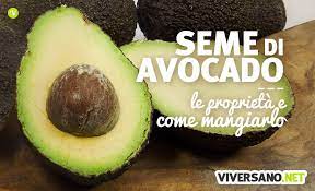 Avocado hass come si mangia. Seme Di Avocado Proprieta Benefici E Come Utilizzarlo Correttamente