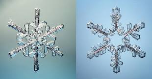 What Makes A Snowflake Special News Chemistry World