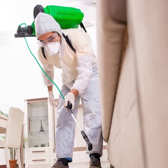 Pest Inspection Service