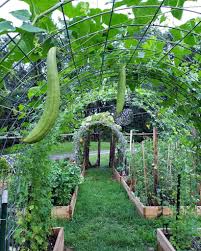 Check spelling or type a new query. The Top 63 Garden Trellis Ideas Laptrinhx News