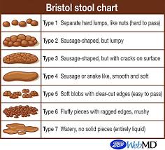 bristol stool scale diagnosis constipation bristol stool