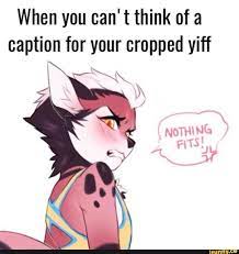 When you can't think of a caption for your cropped yiff - iFunny | Caption  for yourself, Memes, Ifunny