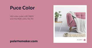 Puce Color - HEX #CC8899 Meaning and Live Previews - PaletteMaker