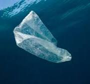 Okyanusların dibinde '14 milyon tondan fazla mikroplastik ...