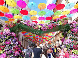 ❤ mulțumim #claudiustoica pentru frumoasele fotografii! Festivalul Florilor La Timisoara Umbre Colorate DemonstraÅ£ii Florale Si Aleea Fericirii Pot Fi Admirate In Centrul Orasului Gazeta De Sud