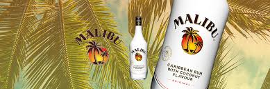 We did not find results for: Malibu Rum Garvey Wholesale Beverage