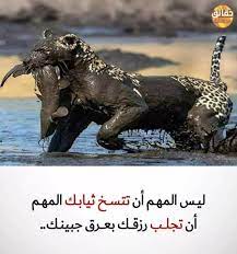 حقائق مدهشة حقائق و مقولات مدهشة حقائق مدهشة 2019 حقائق عن الحياة معلومات مفيدة جدا معلومات رائعة صور مكتوب عليها 202 ex quotes fake girls mbeya