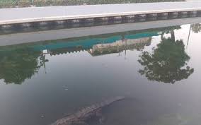 A man who was apparently homeless in the city of tampico, lost his life on saturday, october 17th, when he was attacked by a crocodile in the laguna del carpintero in the capital of tamaulipas. Buscaran A Cocodrilos Peligrosos En Laguna Del Carpintero El Sol De Tampico Noticias Locales Policiacas Sobre Mexico Tamaulipas Y El Mundo