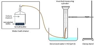 Established in 1993, the growth of rnz integrated has been phenomenal and today it is one of the leading engineering consultant firms from malaysia. Processes Free Full Text Effects Of Alginate And Chitosan On Activated Carbon As Immobilisation Beads In Biohydrogen Production Html
