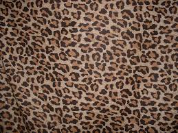 10.05m x 53cm / pattern repeat: Animal Print Desktop Backgrounds Wallpaper Cave