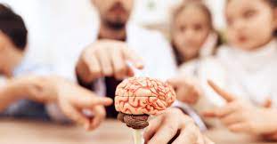 Brain tumors can directly destroy brain cells. Childhood Brain Tumors Early Common Signs Cytecare Hospitals