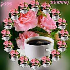 Adorable pic of good morning. Blueangels1015 Meu Desktop Nexus In 2021 Good Morning Flowers Good Morning Gif Good Morning Roses