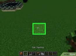 Jungle Tree – Minecraft Wiki