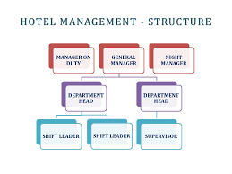 Hotel Organization Online Presentation