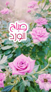صور صباح الورد اجمل صور صباحية مع الورود | Good Morning ☀صباح الخير