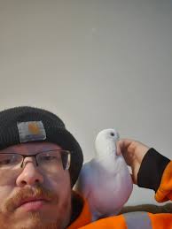 Low VOC paint safety time frame?