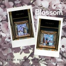 Esplora tutte le pubblicazioni di thomas fritsch su discogs. February 21 2020 Sandra S Closet