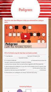 Genetics pedigree worksheet answer key semesprit pedigree charts display info in a hierarchy and are frequently used to show relationships including in genealogy trees and organization charts. Pedigrees Interactive Worksheet By Christie Dobbin Staff Leesvillerdhs Wizer Me