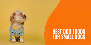 Maybe you would like to learn more about one of these? 10 Best Dog Foods For Small Dogs Age Kibble Size Reviews Faq
