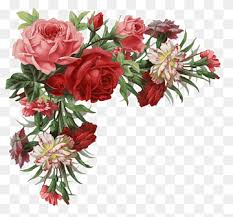 Jika kamu adalah pemula yang tertarik memajangnya, bunga gantung tahan panas di bawah ini akan jadi pilihan yang tepat! Flower Rose Pakaian Vintage Rose Border Ilustrasi Bunga Mawar Merah Dan Pink Perbatasan Merangkai Bunga Floribunda Png Pngwing
