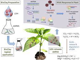 Once integrated, clark pest control will have over 1,300 dedicated. Frontiers A Perspective On Rnai Based Biopesticides Plant Science