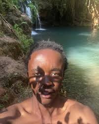 Image result for Oliverella rubroviridis