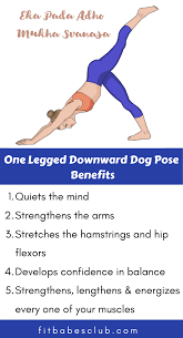 How To Do One Legged Downward Dog Pose And Benefits Yoga Information Easy Yoga Workouts Yoga Benefits