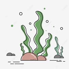 Deep Sea Seaweed Kelp Seaweed Clipart Black Bubble Green Seaweed Png And Vector With Transparent Background For Free Download Available in png and svg formats. deep sea seaweed kelp seaweed clipart