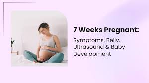 Pregnancy at Week 7: Baby Growth & Care
