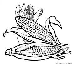 The comprehensive design composite was so sensational ideas. Corn Coloring Page Printable Coloring Page Artus Art