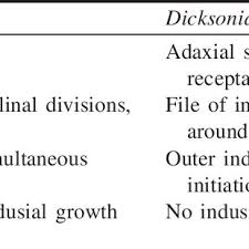 Image result for Menisorus pauciflorus