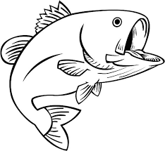 This is applied dry, straight from the jar with a small artist brush. Best Bass Fish Outline 18264 Clipartion Com