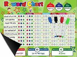 Magnetic Behavior Star Reward Chore Chart One Or Multiple Kids Toddlers Teens