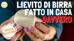 Per quanto sia corretto, questo sistema può risultare piuttosto scomodo, perché non sempre abbiamo modo e tempo di acquistarlo appositamente (in periodi come questo, poi, è persino molto difficile da trovare). Lievito Di Birra Fatto In Casa Senza Glutine Davvero Ricette Di Cucina