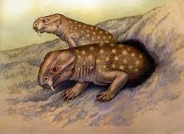 Diictodon Preview