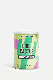 Discover recipes, home ideas, style inspiration and other ideas to try. Grow Your Own Cactus Tin Urban Outfitters Uk
