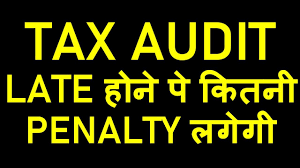 What are the different audit requirements on the basis of the taxpayer? Tax Audit Penalty For Late Filing After 31 10 2019 Tax Audit Date Extension Or Not Tax Audit Report Youtube
