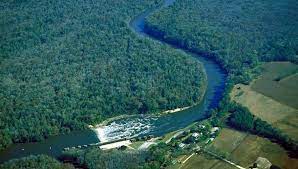 The cape fear chapter serves brunswick, carteret, columbus, craven, duplin, jones, lenoir, new hanover, onslow, pamlico, pender, wayne counties. Lower Cape Fear River Is Not Swamp Water Environmentalists Assert North Carolina Health News
