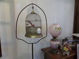 Larger birds, such as macaws and cockatiels, will require a bigger cage with greater interior space that allows the bird to move around comfortably. Pin On Ideas For The House