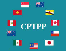 Want to see if you are eligible for a cptpp work permit to work in canada? Cptpp Vietnam Briefing News