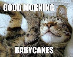 80 Good Morning Memes To Kickstart Your Day Sayingimages Com Good Morning Cat Morning Memes Funny Cat Memes