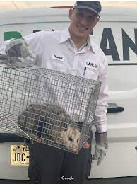 Top notch pest control, llc is a pest control company located in duncan, ok specializing in bed bug treatment, rodent removal, termite treatment, spider removal, & more. Dancan The Pest Control Expert Pest Control Exterminators Southlake Tx