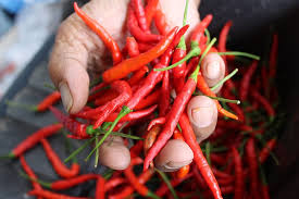 I was even able to remove my contact lenses without any problems later that night. Remove Pepper Burn From Your Hands With These 8 Tips