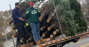David jacobson selling christmas tree. Stew Leonard S On Twitter We Have Plenty Of Fresh Trees Arriving Daily Starting At 24 99 In Yonkers Norwalk Farmingdale Eastmeadow And Paramus Https T Co Xolicdan6r Https T Co Ajseao1wlt