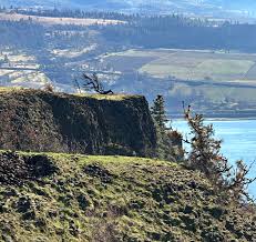 Image result for Fern Green 1994 Reliant