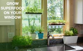 Large selection of household appliances in home appliances with factory direct wholesale price, free or lowcost shipping at pricetug.com. Amazon Com Window Garden Microgreens Kit Seeds To Fresh Greens Complete Superfood Microgreen Growing Kit With Stylish Acrylic Tray Live Indoor Plant Nutritious For Salad Sandwich Emergency Survival Food Garden